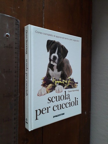 Quixi sonntag scuola - scuola, per