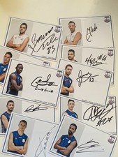 Apollon Limassol 2013