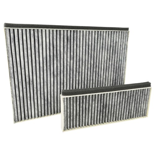 Filtro carboni attivi - 2x,