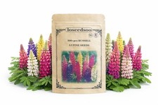 500+ Russell Lupine Seeds –