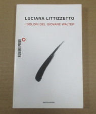 I DOLORI DEL GIOVANE WALTER