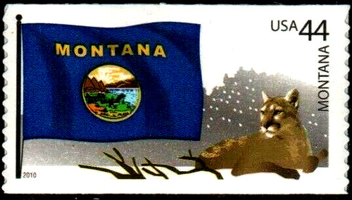 Bandiera stato montana 2010 - bandiera,