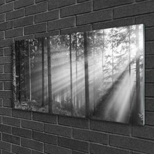 Acrylic print Wall art 100x50