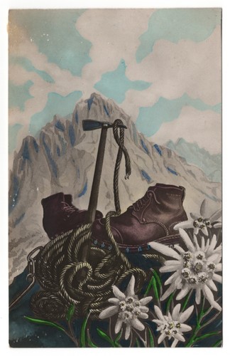 Alpinismo stelle alpine - alpinismo,
