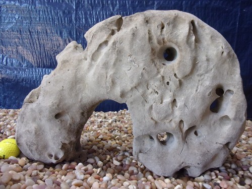 Texas holey rock - 28#, texas/tn