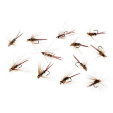Dozzina per la pesca a - la,