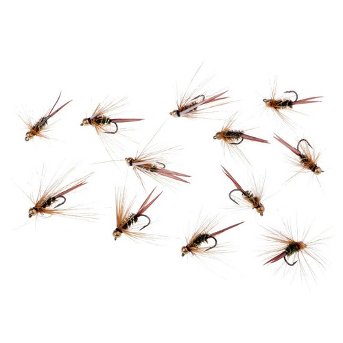 Dozzina per la pesca a - dozzina,