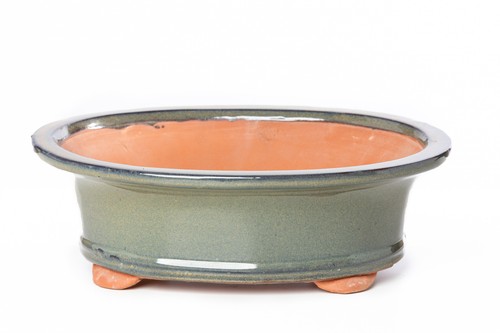 Vaso bonsai smaltato ovale - , cm