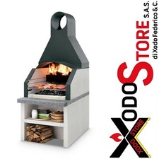 Barbecue a legna carbonella