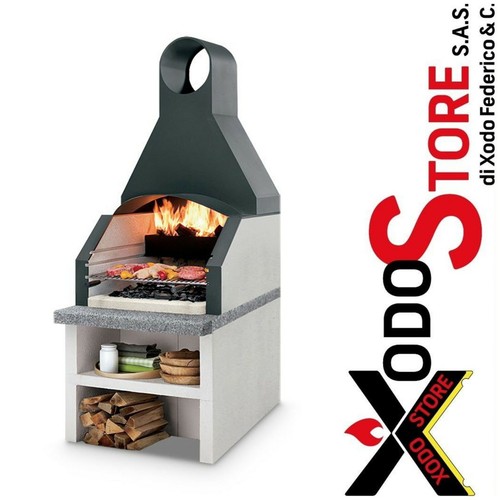 Barbecue legna carbonella - barbecue, a