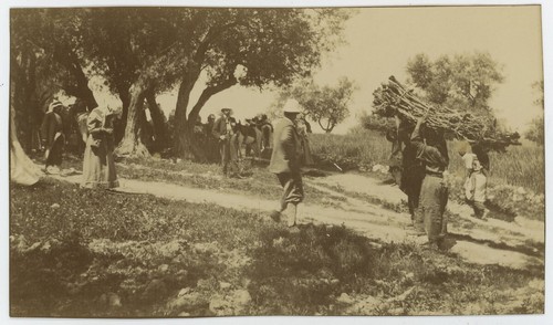 Samaria palestina - in,