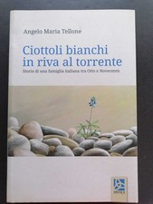 Ciottoli bianchi in riva al