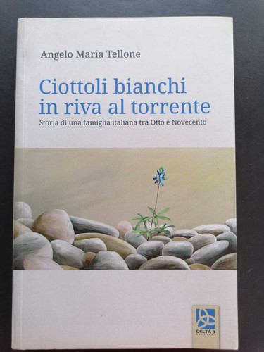 Ciottoli bianchi riva al - ciottoli,