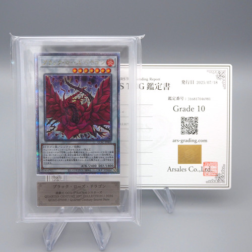 Ars10 drago rosa nera - ars10,