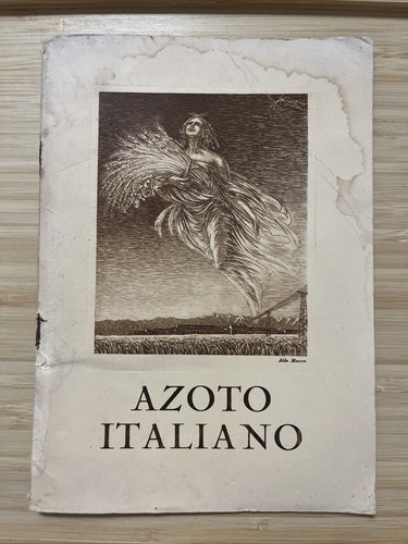 Azoto italiano industria - azoto,