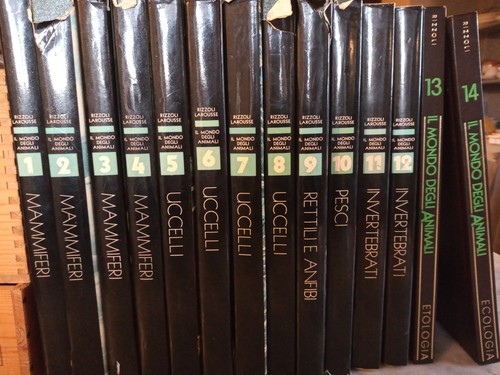 Anni enciclopedia il mondo - enciclopedia,