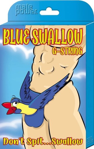 Uccellino rondine blu potere - uccellino,