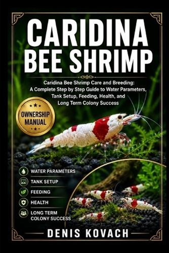 Caridina bee shrimp - caridina,