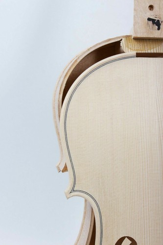 Prof progetto violino - progetto, di