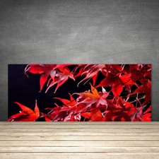 Splashback Paraschizzi