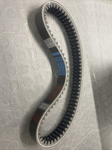 Cinghia trasmissione variatore - cinghia,
