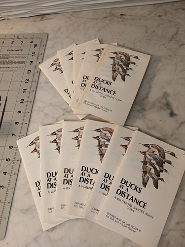 Lot vtg ducks - lot, distance