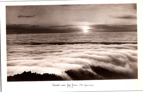 Cartolina real photo - cartolina, (rppc)