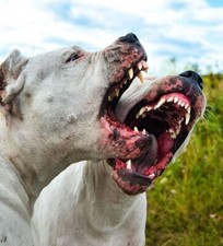 POSTER LOCANDINA QUADRO