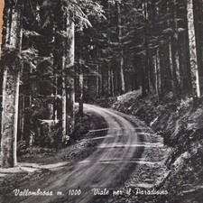 Cartolina Antica Vallombrosa