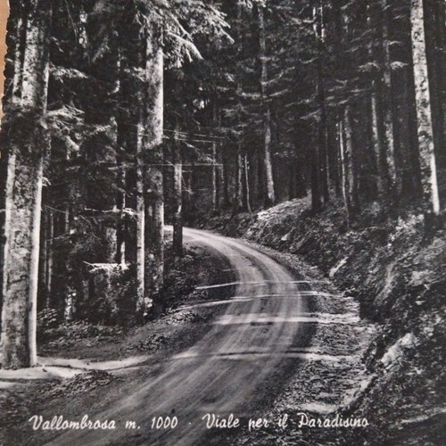 Cartolina antica vallombrosa - cartolina,