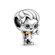 Charm Pandora x Harry Potter
