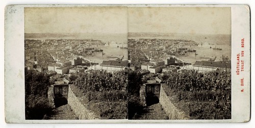 Stereoscopia austria trieste - stereoscopia,