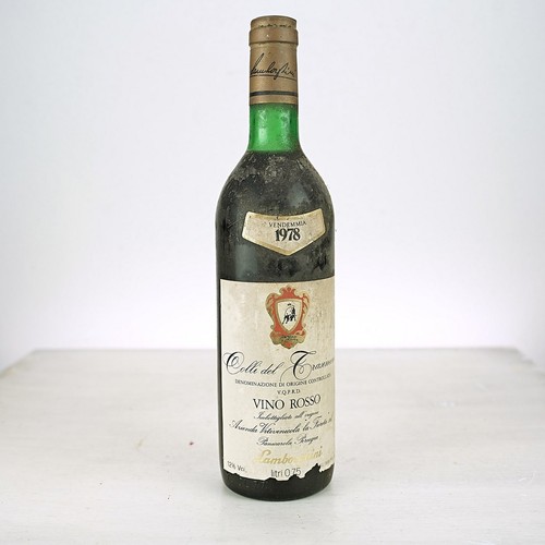 Vino lamborghini sangue di - vino,