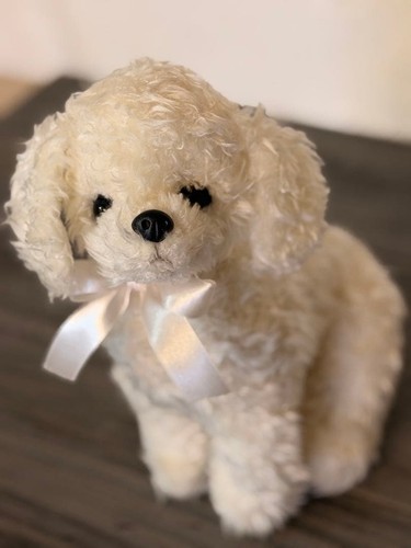 Peluche cane barboncino