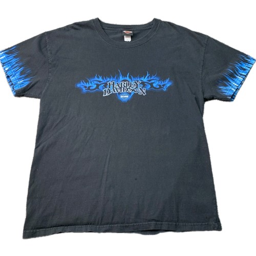 Harley davidson blue flames - harley,
