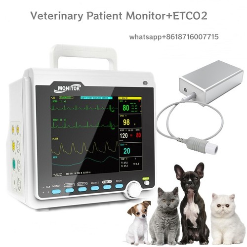 Capnografo monitor paziente - capnografo,