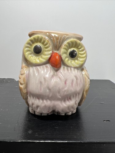 Bancone monete gufo ceramica