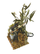 Pastore in Movimento Contadino che Raccoglie Olive Cm 9x14x20h Pastori Presepe