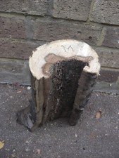 Pezzo di legno tronco di