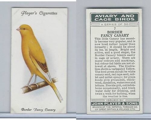 P72 giocatore aviary - aviary, &