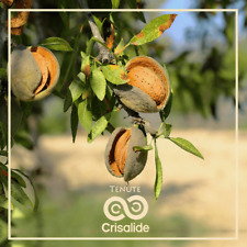 Mandorle sgusciate biologiche di Sicilia in confezione da 2 kg