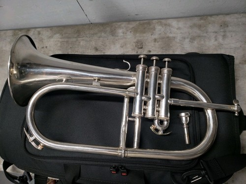 Rarissimo vecchio corno - f.e.,