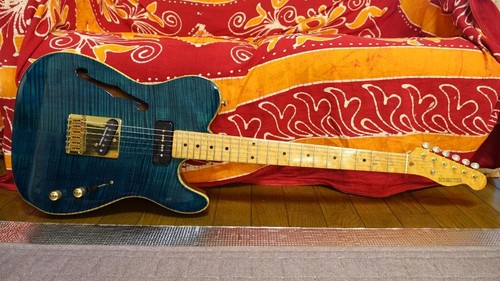 Schecter thinline telecaster - schecter,