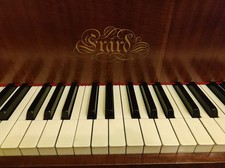 pianoforte a mezza coda per intenditori e di arredamento