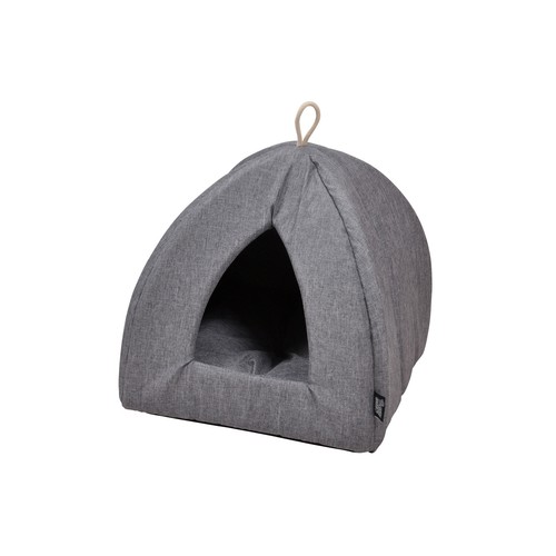 Animali domestici gatti - , nido