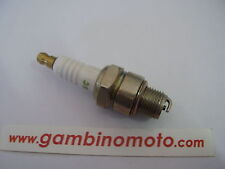 CANDELA MOTOZAPPA JLO - CM - MINARELLI - ZANETTI - BETA  - CAMPEON - RUGGERINI 