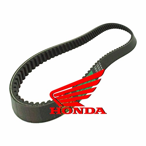 Cinghia trasmissione originale - cinghia,