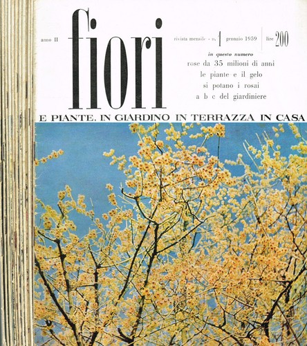 Fiori piante giardino - in,