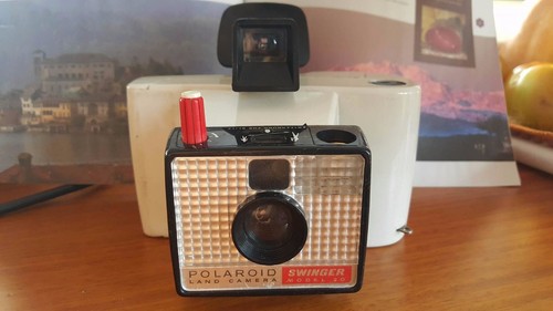 Polaroid swinger land - polaroid,