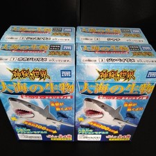 Mysterious World of Ocean